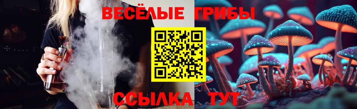 Галлюциногенные грибы мухоморы  Вход с VPN  Абинск  Псилоцибиновые грибы Psilocybe 